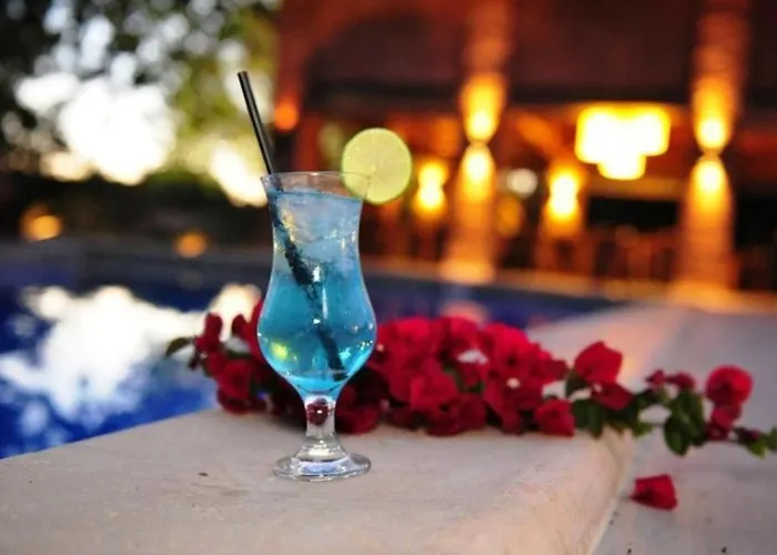 Leão de Judá Charme Hotel