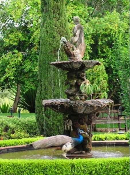 Leão De Judá Charme Casa de Campo *